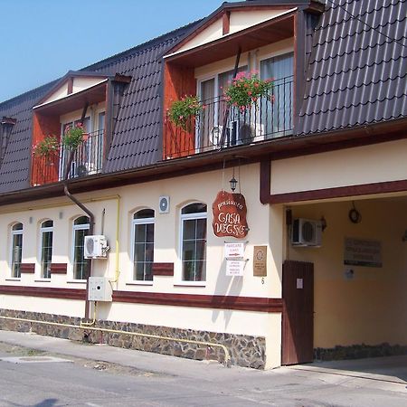 Vila Veche Hátszeg Kültér fotó