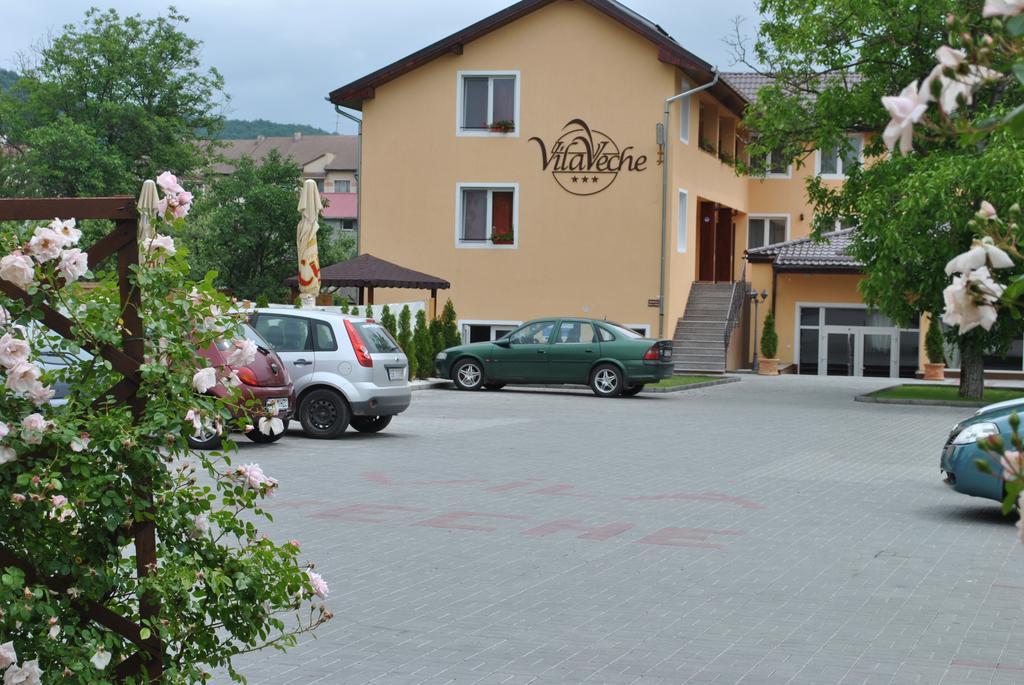 Vila Veche Hátszeg Kültér fotó