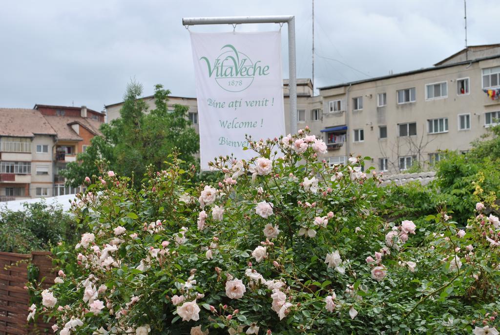 Vila Veche Hátszeg Kültér fotó