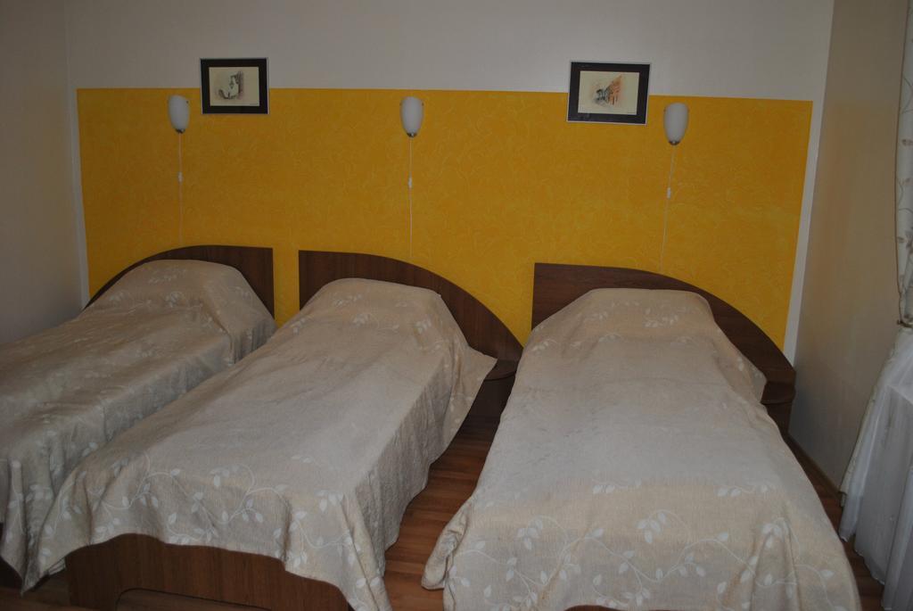 Vila Veche Hátszeg Kültér fotó