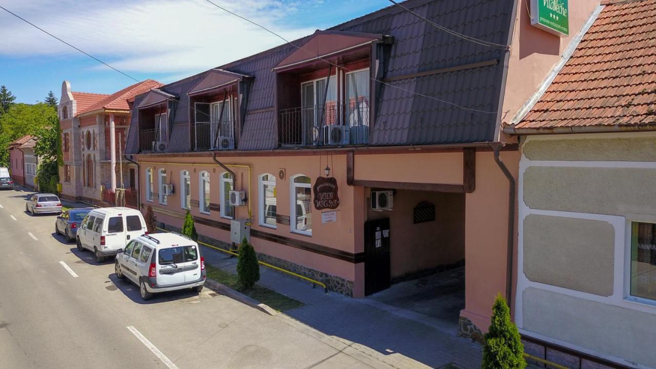 Vila Veche Hátszeg Kültér fotó